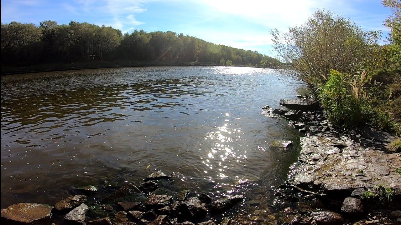 Окуня и Судаки на Каменистом Дне. Выезд на Канал Имени Москвы.#микроджиг #рыбалкавмоскве #fishing смотреть онлайн