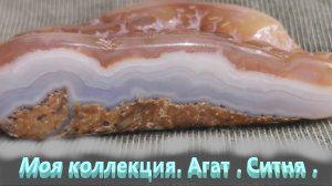 Моя коллекция. Агат. Старая Ситня .