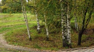 "СВЕТЛАЯ ГРУСТЬ СЕНТЯБРЯ"... (Фото Измаила ЕФИМОВА (Йошкар-Ола), музыка Андре ГАНЬОНА (Канада))