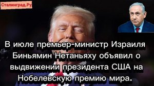 Кто лучше оближет хозяина
