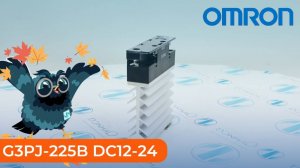 G3PJ-225B DC12-24 Реле твердотельное Omron - Олниса