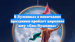 В Лужниках в новогодние праздники пройдет цирковое шоу «Сны Пушкина»