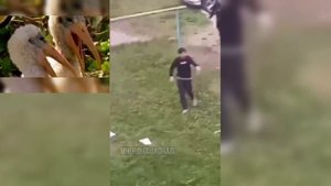 Пришло, видимо, время выдвигать Батьку в руководители Союзным Государством.