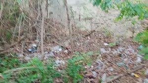 Кощунство властей Кисловодска продолжается на кладбище в центре города! часть-2. 12.09.2025 г.