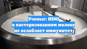 Ученые: H5N1 в пастеризованном молоке не ослабляет иммунитет