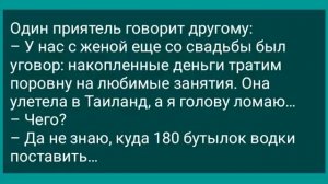 Жена Уехала в Отпуск! Муж Один Дома! Сборник Веселых Жизненных Анекдотов! Юмор