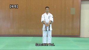 Санчин - Ката Карате Кёкусинкай (Kata Sanchin - 三戦) v.5