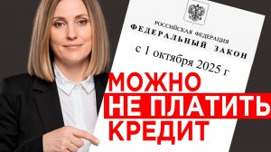 Новый закон спасёт бизнес от долгов в 2025!