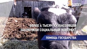 Помощь государства