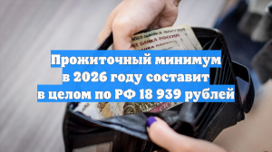 Прожиточный минимум в 2026 году составит в целом по РФ 18 939 рублей