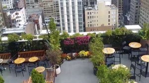 Горизонт Нью-Йорка