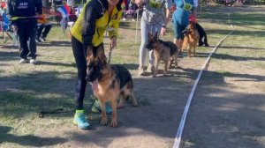 ПОДРОСТКИ СУКИ / Кубок НКП РОСТОВ-НА-ДОНУ 28 сентября`25 Z.Najdovski, Е.Близнецова  Моно н/о