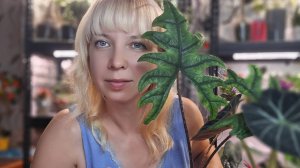 Как прошёл цветочный своп и маркет, моя новиночка, пересадка алоказий