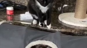 Прилетело не за что не про что😰😂