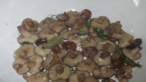 Маслята солёные