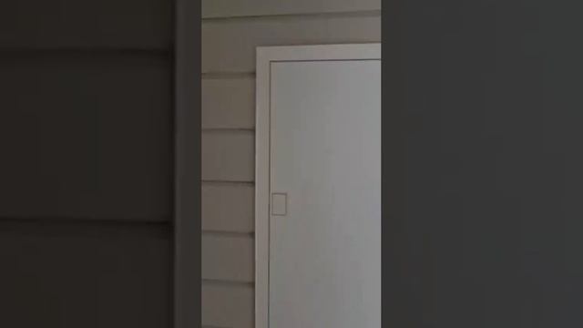 IMG_3648 смотреть онлайн