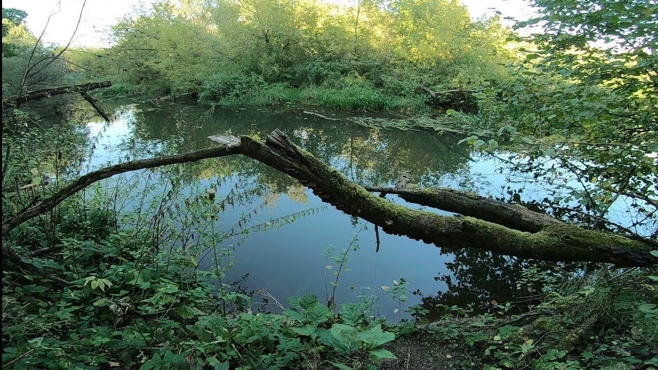 Мормышинг. Плотва и Окунь. Прошел По Микро-Речке с Мормо Снастью.#мормышинг #fishing #рыбалка смотреть онлайн