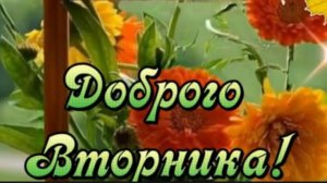 ДОБРОЕ УТРО. С ДНЁМ ВЕРЫ , НАДЕЖДЫ И ЛЮБОВИ!