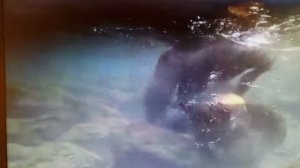 любовь не может умереть. читает автор Богдан Бандура.