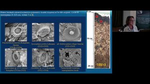 Кобальтоносные Fe-Mn корки на миоценовых породах "petit-spot" вулканов гайота Альба: особенности ...