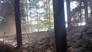 Демонтаж здания в лесу