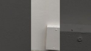 стрим в школе