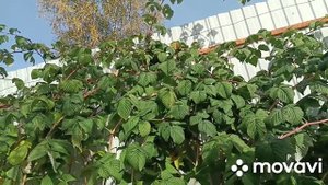 СДЕЛАЛИ ТАК И РАДУЕМСЯ.