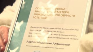 В Нижнем Новгороде наградили многодетных матерей в честь празднования Дня многодетной семьи