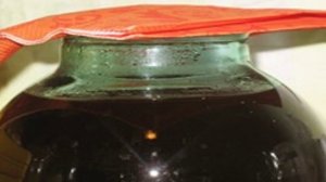 Квас из дрожжей