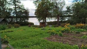 КЎЛ БЎЙИДА УЙ 50 соток, Гараж, Хаммом, Молхона, Иссиқхона, Омборхона, Табиат.