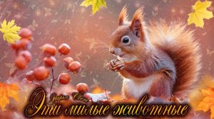 Забавные белочки. Рыжие проказницы. Белки. Любительницы орехов. Сентябрь 2025