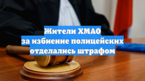 Жители ХМАО за избиение полицейских отделались штрафом