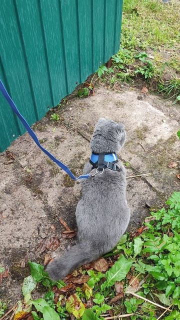 Вот и лето прошло... смотреть онлайн