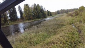 Покатушки! Грибов уже нет, зато яблок натрясли!)