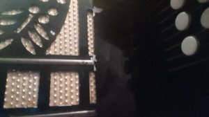 Отчего так в России березы шумят., на гармони, цифры, 89277382068.