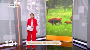 В программе «Доброе утро, Уфа!» расскажут, правда ли белорусские зубры освоили башкирский язык