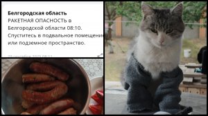 РАКЕТНАЯ ОПАСНОСТЬ ‼️❗. Не было света и воды. Ездили в больницу. Жарили сосиски #ракетнаяопасность #