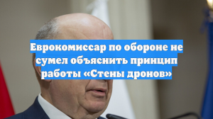 Еврокомиссар по обороне не сумел объяснить принцип работы «Стены дронов»