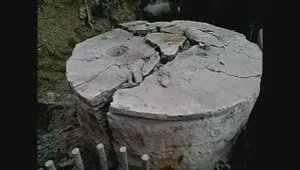 Малышева (воеводина  2013 год)