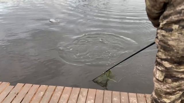 На бомбарду