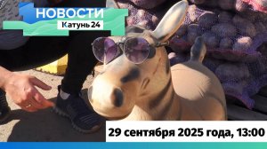 Новости Алтайского края 29 сентября 2025 года, выпуск в 13:00