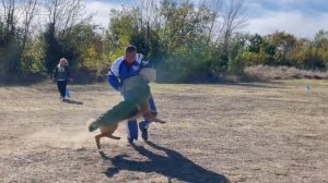 2 О/Отл. СС Диктум Фактум ВИЕСЛАВА +++ №78. РОСТОВ-НА-ДОНУ 28 сентября`25 Моно немецких овчарок