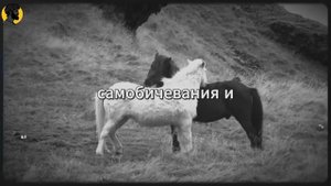 (58 УРОК) Как завоевать любую женщину (даже если она на расстоянии)   Стоицизм