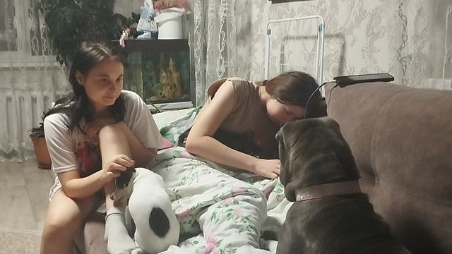 Стреляют ,куда бежать ???🫨