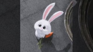 смешные животные