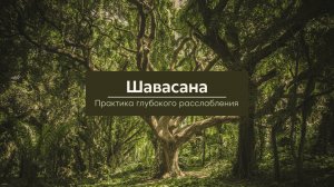 Шавасана. Практика глубокого расслабления.