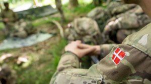 TV2: Дания срочно вызывает резервистов после инцидентов с дронами