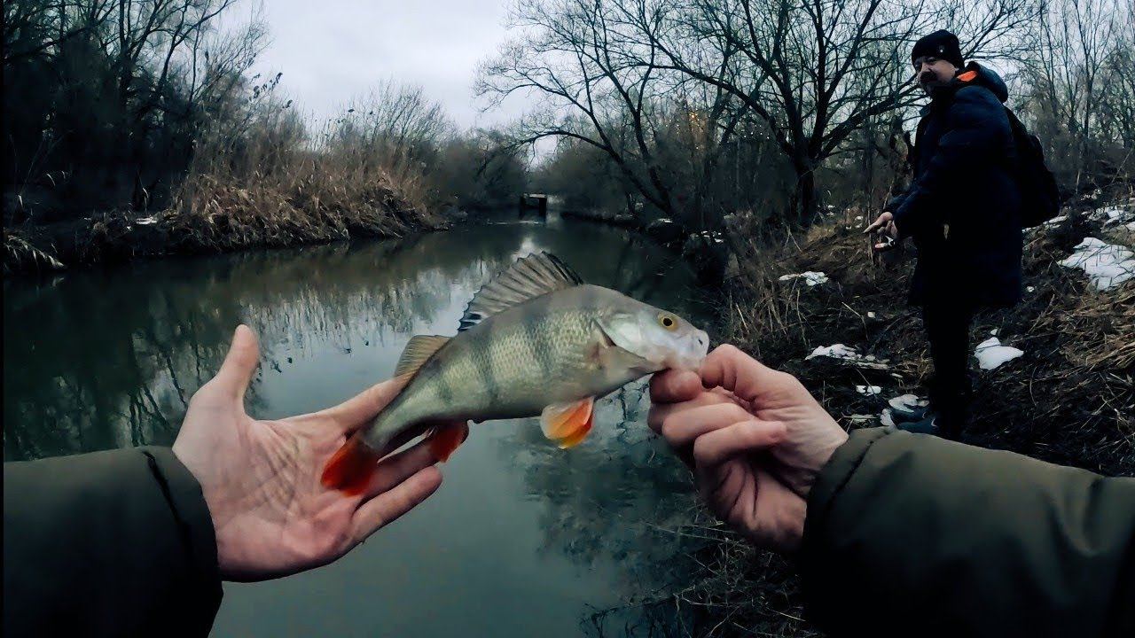 Мормышинг.Хороший Горбач на Яузе.Прогулялись Группой по Микро-речке. смотреть онлайн