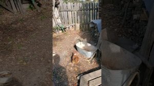 отдыхаю на скамеечке работа в огороде умарила...