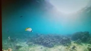 Как нелегко красиво жить. читает автор Богдан Бандура.